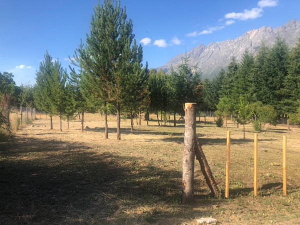 Lote paraje Las Golondrinas